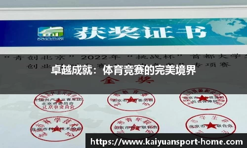 卓越成就：体育竞赛的完美境界